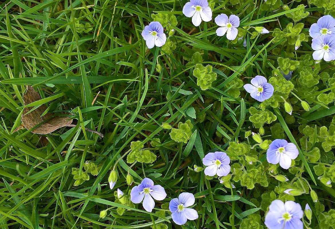 Naturcamping Braunsbach — photo 8